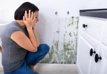 Protecting Your Home and Loved Ones from Mould Infestation