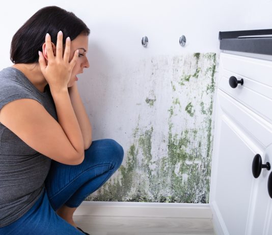 Protecting Your Home and Loved Ones from Mould Infestation
